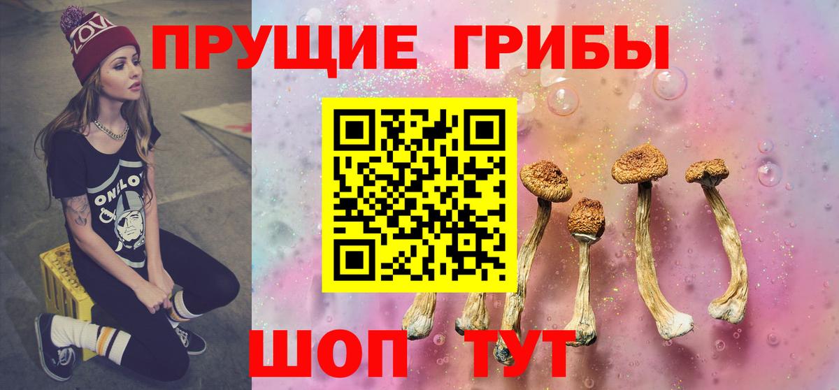Кизляр  Псилоцибиновые грибы Magic Shrooms  закладка  Псилоцибиновые грибы Magic Shrooms  Вход с VPN 
